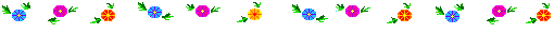 bar10.gif (2718 octets)